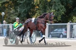 Dateiname=20251012_r10_013_R10_0083.jpg
Dateigröße=300KB
Abmessungen: 1000x667
hinzugefügt am: 15. Oktober 2025 20251012_r10_013_R10_0083.jpg