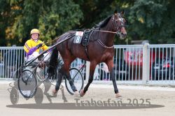 Dateiname=20251012_r10_015_R10_0093.jpg
Dateigröße=308KB
Abmessungen: 1000x667
hinzugefügt am: 15. Oktober 2025 20251012_r10_015_R10_0093.jpg