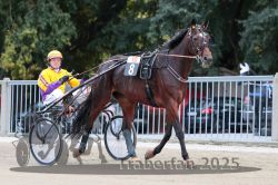 Dateiname=20251012_r10_016_R10_0098.jpg
Dateigröße=314KB
Abmessungen: 1000x667
hinzugefügt am: 15. Oktober 2025 20251012_r10_016_R10_0098.jpg