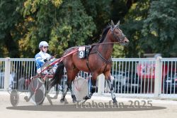 Dateiname=20251012_r10_017_R10_0107.jpg
Dateigröße=312KB
Abmessungen: 1000x667
hinzugefügt am: 15. Oktober 2025 20251012_r10_017_R10_0107.jpg