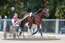 Dateiname=20251012_r10_019_R10_0120.jpg
Dateigröße=309KB
Abmessungen: 1000x667
hinzugefügt am: 15. Oktober 2025 20251012_r10_019_R10_0120.jpg