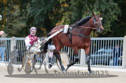 Dateiname=20251012_r10_020_R10_0125.jpg
Dateigröße=302KB
Abmessungen: 1000x667
hinzugefügt am: 15. Oktober 2025 20251012_r10_020_R10_0125.jpg