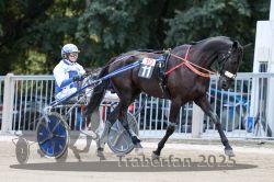 Dateiname=20251012_r10_022_R10_0140.jpg
Dateigröße=304KB
Abmessungen: 1000x667
hinzugefügt am: 15. Oktober 2025 20251012_r10_022_R10_0140.jpg