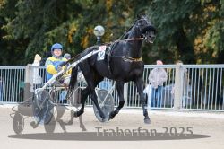 Dateiname=20251012_r10_023_R10_0147.jpg
Dateigröße=297KB
Abmessungen: 1000x667
hinzugefügt am: 15. Oktober 2025 20251012_r10_023_R10_0147.jpg