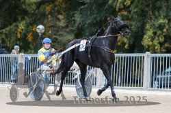 Dateiname=20251012_r10_024_R10_0152.jpg
Dateigröße=296KB
Abmessungen: 1000x667
hinzugefügt am: 15. Oktober 2025 20251012_r10_024_R10_0152.jpg