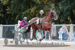 Dateiname=20251012_r10_025_R10_0156.jpg
Dateigröße=301KB
Abmessungen: 1000x667
hinzugefügt am: 15. Oktober 2025 20251012_r10_025_R10_0156.jpg