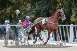 Dateiname=20251012_r10_026_R10_0165.jpg
Dateigröße=313KB
Abmessungen: 1000x667
hinzugefügt am: 15. Oktober 2025 20251012_r10_026_R10_0165.jpg