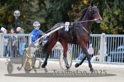 Dateiname=20251012_r10_028_R10_0183.jpg
Dateigröße=304KB
Abmessungen: 1000x667
hinzugefügt am: 15. Oktober 2025 20251012_r10_028_R10_0183.jpg