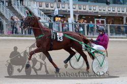 Dateiname=20251012_r10_029_R10_0187.jpg
Dateigröße=289KB
Abmessungen: 1000x667
hinzugefügt am: 15. Oktober 2025 20251012_r10_029_R10_0187.jpg