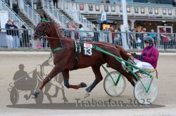 Dateiname=20251012_r10_030_R10_0188.jpg
Dateigröße=296KB
Abmessungen: 1000x667
hinzugefügt am: 15. Oktober 2025 20251012_r10_030_R10_0188.jpg