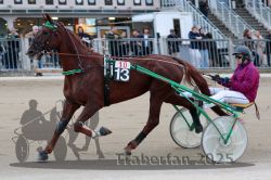 Dateiname=20251012_r10_032_R10_0193.jpg
Dateigröße=298KB
Abmessungen: 1000x667
hinzugefügt am: 15. Oktober 2025 20251012_r10_032_R10_0193.jpg