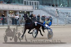 Dateiname=20251012_r10_033_R10_0198.jpg
Dateigröße=273KB
Abmessungen: 1000x667
hinzugefügt am: 15. Oktober 2025 20251012_r10_033_R10_0198.jpg