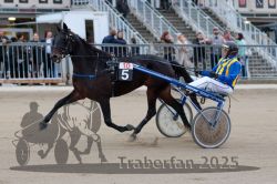 Dateiname=20251012_r10_039_R10_0221.jpg
Dateigröße=287KB
Abmessungen: 1000x667
hinzugefügt am: 15. Oktober 2025 20251012_r10_039_R10_0221.jpg