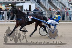 Dateiname=20251012_r10_040_R10_0222.jpg
Dateigröße=288KB
Abmessungen: 1000x667
hinzugefügt am: 15. Oktober 2025 20251012_r10_040_R10_0222.jpg