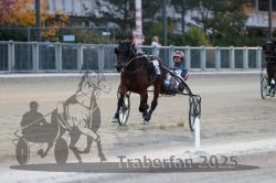 Dateiname=20251012_r10_081_R10_0379.jpg
Dateigröße=256KB
Abmessungen: 1000x667
hinzugefügt am: 15. Oktober 2025 20251012_r10_081_R10_0379.jpg