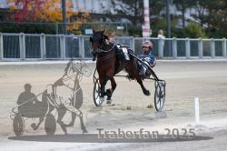 Dateiname=20251012_r10_082_R10_0382.jpg
Dateigröße=257KB
Abmessungen: 1000x667
hinzugefügt am: 15. Oktober 2025 20251012_r10_082_R10_0382.jpg