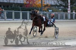 Dateiname=20251012_r10_083_R10_0386.jpg
Dateigröße=260KB
Abmessungen: 1000x667
hinzugefügt am: 15. Oktober 2025 20251012_r10_083_R10_0386.jpg