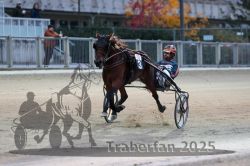 Dateiname=20251012_r10_084_R10_0389.jpg
Dateigröße=260KB
Abmessungen: 1000x667
hinzugefügt am: 15. Oktober 2025 20251012_r10_084_R10_0389.jpg