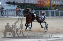 Dateiname=20251012_r10_085_R10_0390.jpg
Dateigröße=256KB
Abmessungen: 1000x667
hinzugefügt am: 15. Oktober 2025 20251012_r10_085_R10_0390.jpg