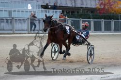 Dateiname=20251012_r10_086_R10_0393.jpg
Dateigröße=253KB
Abmessungen: 1000x667
hinzugefügt am: 15. Oktober 2025 20251012_r10_086_R10_0393.jpg