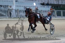 Dateiname=20251012_r10_087_R10_0396.jpg
Dateigröße=234KB
Abmessungen: 1000x667
hinzugefügt am: 15. Oktober 2025 20251012_r10_087_R10_0396.jpg