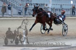 Dateiname=20251012_r10_089_R10_0400.jpg
Dateigröße=265KB
Abmessungen: 1000x667
hinzugefügt am: 15. Oktober 2025 20251012_r10_089_R10_0400.jpg