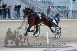 Dateiname=20251012_r10_090_R10_0404.jpg
Dateigröße=266KB
Abmessungen: 1000x667
hinzugefügt am: 15. Oktober 2025 20251012_r10_090_R10_0404.jpg