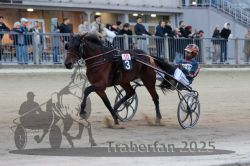 Dateiname=20251012_r10_093_R10_0410.jpg
Dateigröße=271KB
Abmessungen: 1000x667
hinzugefügt am: 15. Oktober 2025 20251012_r10_093_R10_0410.jpg