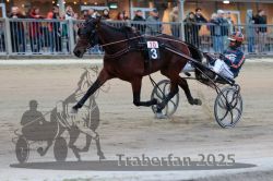 Dateiname=20251012_r10_095_R10_0415.jpg
Dateigröße=281KB
Abmessungen: 1000x667
hinzugefügt am: 15. Oktober 2025 20251012_r10_095_R10_0415.jpg