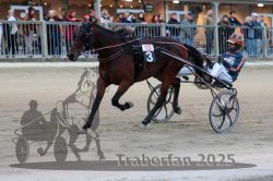 Dateiname=20251012_r10_096_R10_0416.jpg
Dateigröße=298KB
Abmessungen: 1000x667
hinzugefügt am: 15. Oktober 2025 20251012_r10_096_R10_0416.jpg