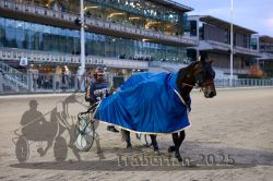 Dateiname=20251012_r10_100_CR5_0603.jpg
Dateigröße=326KB
Abmessungen: 1000x667
hinzugefügt am: 15. Oktober 2025 20251012_r10_100_CR5_0603.jpg