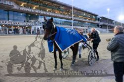 Dateiname=20251012_r10_102_CR5_0609.jpg
Dateigröße=357KB
Abmessungen: 1000x667
hinzugefügt am: 15. Oktober 2025 20251012_r10_102_CR5_0609.jpg