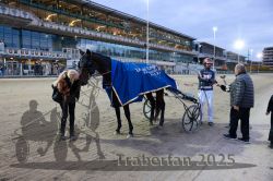 Dateiname=20251012_r10_103_CR5_0612.jpg
Dateigröße=355KB
Abmessungen: 1000x667
hinzugefügt am: 15. Oktober 2025 20251012_r10_103_CR5_0612.jpg