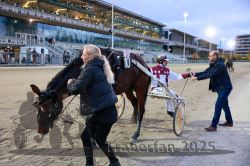 Dateiname=20251012_r10_114_CR5_0641.jpg
Dateigröße=350KB
Abmessungen: 1000x667
hinzugefügt am: 15. Oktober 2025 20251012_r10_114_CR5_0641.jpg