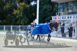 Dateiname=20251012_r10_118_CR5_0656.jpg
Dateigröße=367KB
Abmessungen: 1000x667
hinzugefügt am: 15. Oktober 2025 20251012_r10_118_CR5_0656.jpg