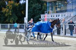 Dateiname=20251012_r10_119_CR5_0658.jpg
Dateigröße=368KB
Abmessungen: 1000x667
hinzugefügt am: 15. Oktober 2025 20251012_r10_119_CR5_0658.jpg