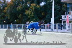 Dateiname=20251012_r10_121_CR5_0663.jpg
Dateigröße=347KB
Abmessungen: 1000x667
hinzugefügt am: 15. Oktober 2025 20251012_r10_121_CR5_0663.jpg