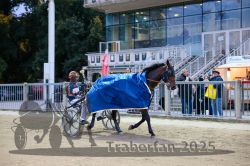 Dateiname=20251012_r10_122_CR5_0664.jpg
Dateigröße=333KB
Abmessungen: 1000x667
hinzugefügt am: 15. Oktober 2025 20251012_r10_122_CR5_0664.jpg