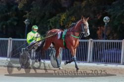 Dateiname=20251012_r11_013_R11_0060.jpg
Dateigröße=299KB
Abmessungen: 1000x667
hinzugefügt am: 15. Oktober 2025 20251012_r11_013_R11_0060.jpg