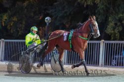 Dateiname=20251012_r11_014_R11_0068.jpg
Dateigröße=298KB
Abmessungen: 1000x667
hinzugefügt am: 15. Oktober 2025 20251012_r11_014_R11_0068.jpg