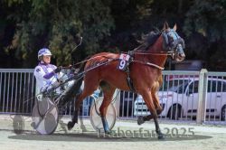 Dateiname=20251012_r11_016_R11_0078.jpg
Dateigröße=322KB
Abmessungen: 1000x667
hinzugefügt am: 15. Oktober 2025 20251012_r11_016_R11_0078.jpg