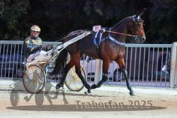 Dateiname=20251012_r11_018_R11_0087.jpg
Dateigröße=305KB
Abmessungen: 1000x667
hinzugefügt am: 15. Oktober 2025 20251012_r11_018_R11_0087.jpg