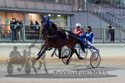 Dateiname=20251012_r11_019_R11_0092.jpg
Dateigröße=305KB
Abmessungen: 1000x667
hinzugefügt am: 15. Oktober 2025 20251012_r11_019_R11_0092.jpg