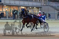 Dateiname=20251012_r11_020_R11_0093.jpg
Dateigröße=291KB
Abmessungen: 1000x667
hinzugefügt am: 15. Oktober 2025 20251012_r11_020_R11_0093.jpg