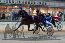 Dateiname=20251012_r11_022_R11_0099.jpg
Dateigröße=322KB
Abmessungen: 1000x667
hinzugefügt am: 15. Oktober 2025 20251012_r11_022_R11_0099.jpg