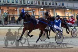 Dateiname=20251012_r11_023_R11_0100.jpg
Dateigröße=319KB
Abmessungen: 1000x667
hinzugefügt am: 15. Oktober 2025 20251012_r11_023_R11_0100.jpg