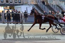 Dateiname=20251012_r11_025_R11_0107.jpg
Dateigröße=300KB
Abmessungen: 1000x667
hinzugefügt am: 15. Oktober 2025 20251012_r11_025_R11_0107.jpg