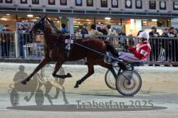 Dateiname=20251012_r11_027_R11_0114.jpg
Dateigröße=321KB
Abmessungen: 1000x667
hinzugefügt am: 15. Oktober 2025 20251012_r11_027_R11_0114.jpg