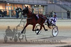 Dateiname=20251012_r11_030_R11_0122.jpg
Dateigröße=284KB
Abmessungen: 1000x667
hinzugefügt am: 15. Oktober 2025 20251012_r11_030_R11_0122.jpg