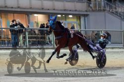 Dateiname=20251012_r11_053_R11_0171.jpg
Dateigröße=291KB
Abmessungen: 1000x667
hinzugefügt am: 15. Oktober 2025 20251012_r11_053_R11_0171.jpg